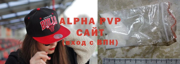 хмурый Абаза