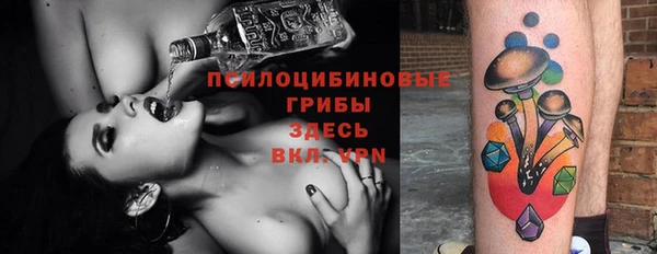 хмурый Абаза
