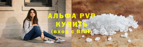 хмурый Абаза
