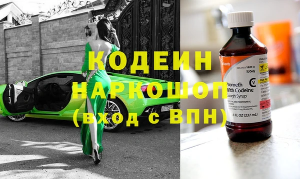 хмурый Абаза