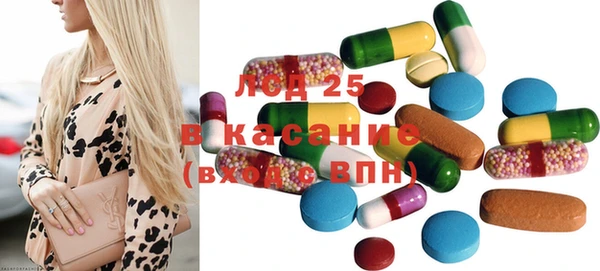 хмурый Абаза