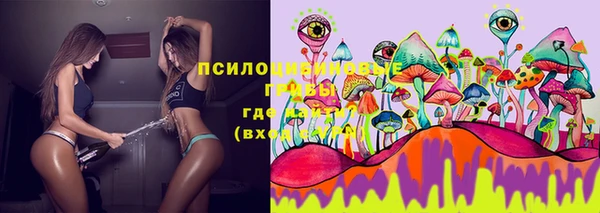 хмурый Абаза