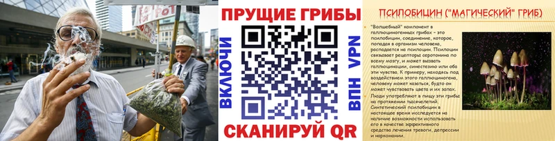 Псилоцибиновые грибы Magic Shrooms ОМГ ОМГ вход маркетплейс телеграм что такое Торопец